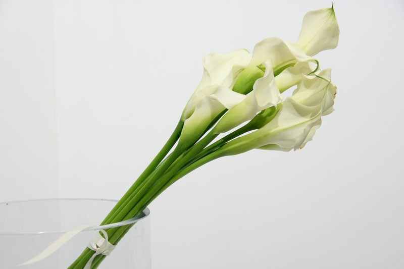 Bouquet de la mariée – Callas, arums blancs – vrais ou faux ?! | Mariage  Nature
